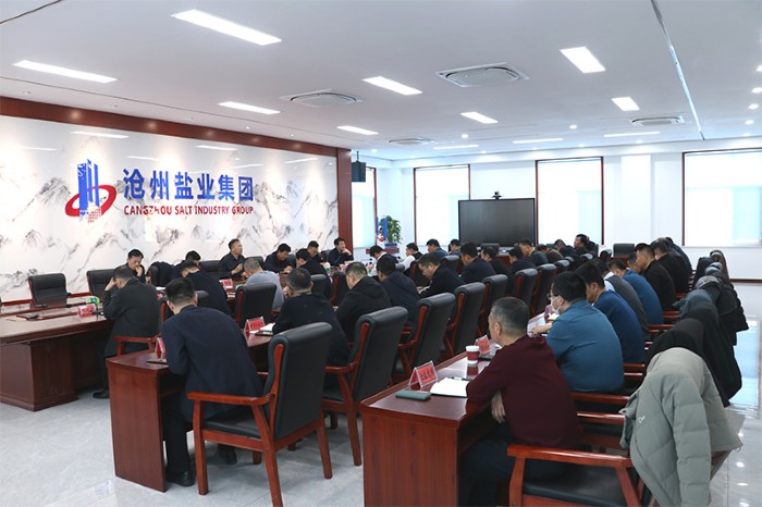 滄鹽集團組織召開2025年生產經營暨項目建設目標任務動員會議